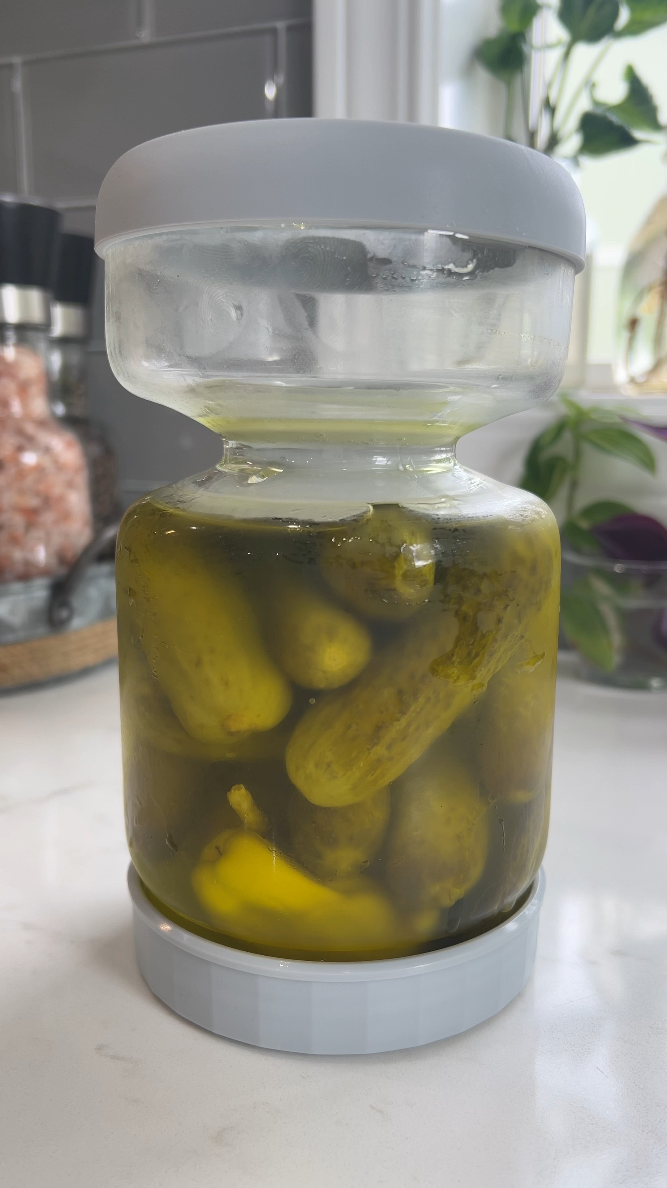 My favorite jars for pickles, olives, pickled red onions, marinated artichokes or really anything that comes in a liquid. 

#LTKFindsUnder50 #LTKSaleAlert #LTKVideo