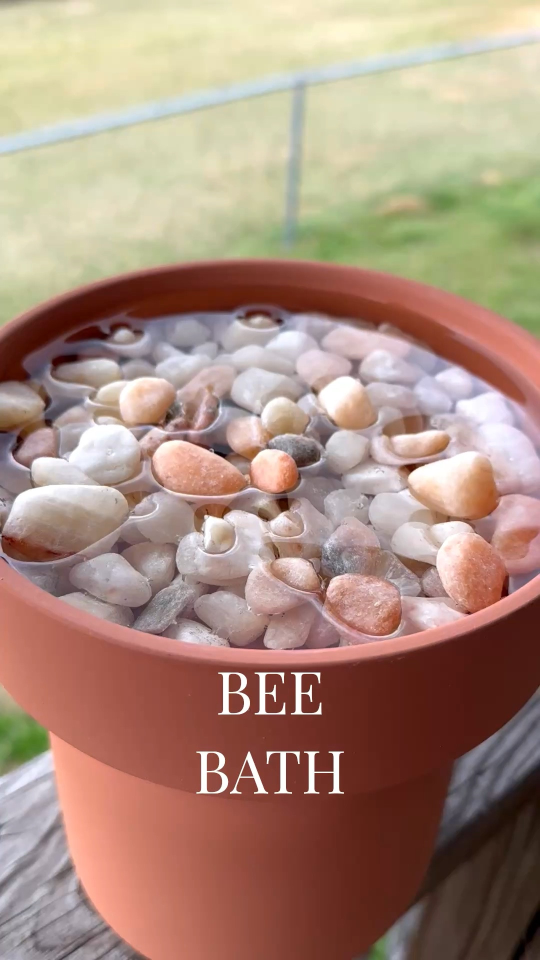 Easy diy terracotta bee bath for your garden!  I used this last year and the bees love it! 

#LTKSaleAlert #LTKHome #LTKSeasonal