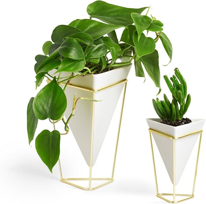 Umbra - 1004372-524 Trigg Desktop Planter Vase & Geometric Container-for Succulent, Air, Mini Cac... | Amazon (US)