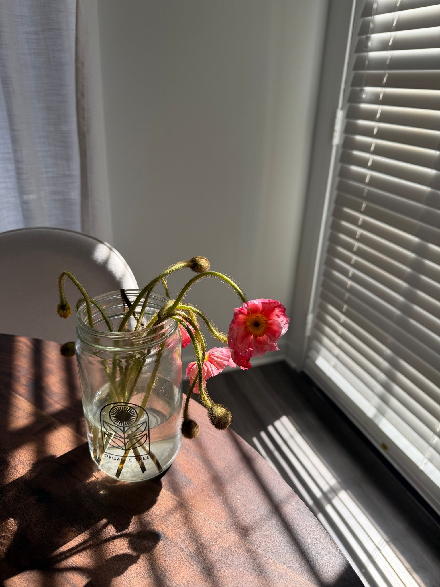 I have so many jars around my home and they are perfect for just about anything! These from @Target are a dream! 

#LTKdayinmylife #LTKHome #LTKgrwm