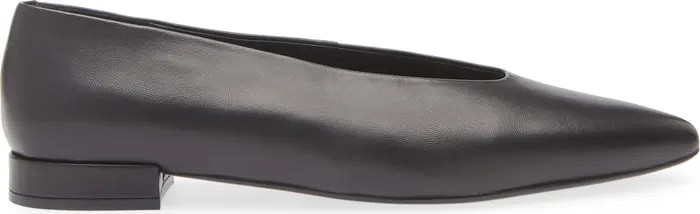 Hinted Pointed Toe Flat (Women) | Nordstrom