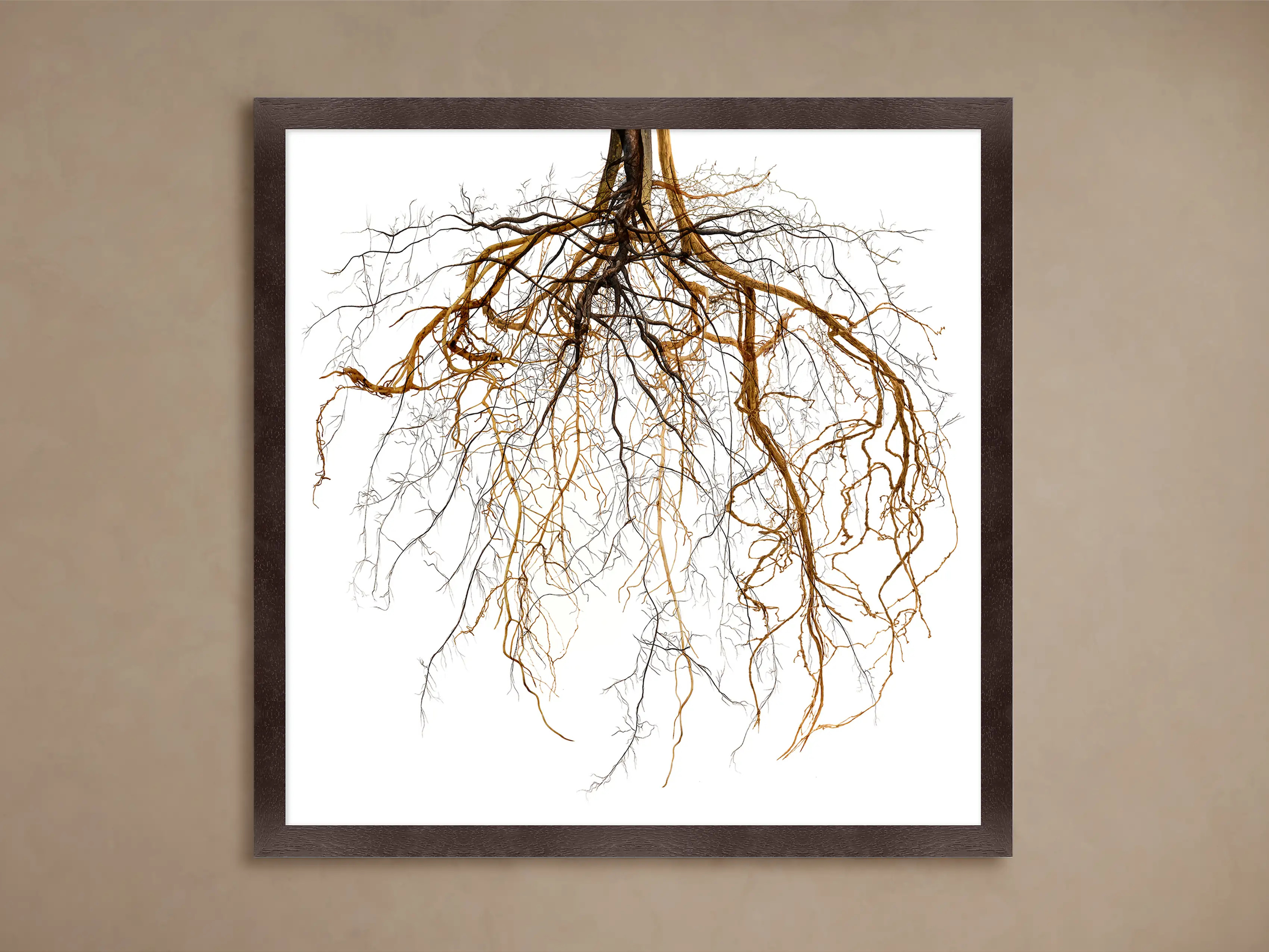 Roots Framed Print | Arhaus