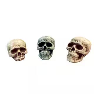 Assorted Halloween 7.75" Foam Skull, 1pc. by Ashland® | Michaels Stores