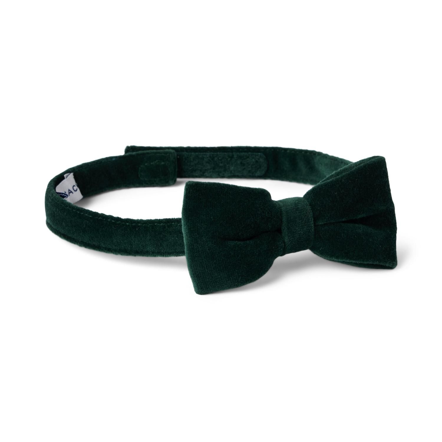 Velvet Bowtie | Janie and Jack