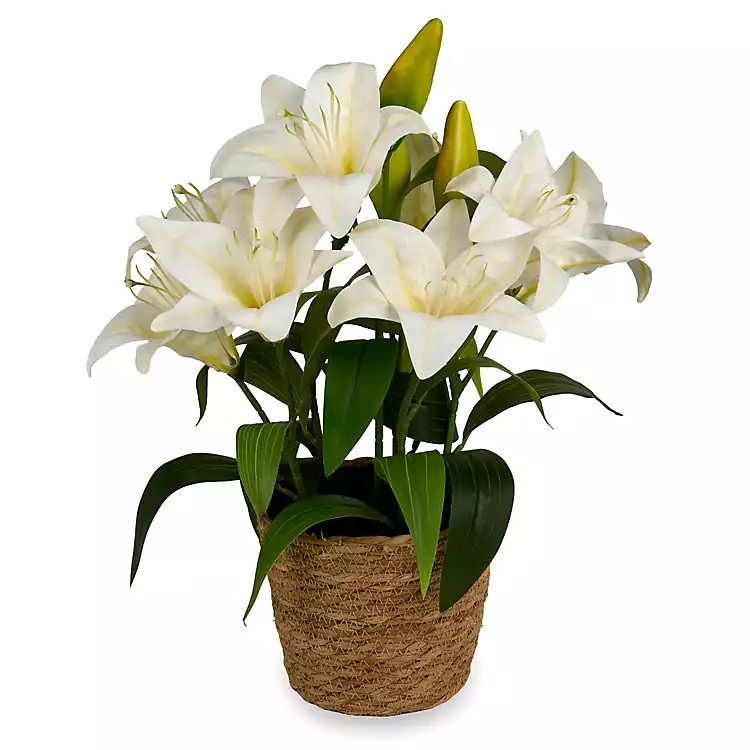 New! White Lily Arrangement in Rattan Vase | Kirklands
