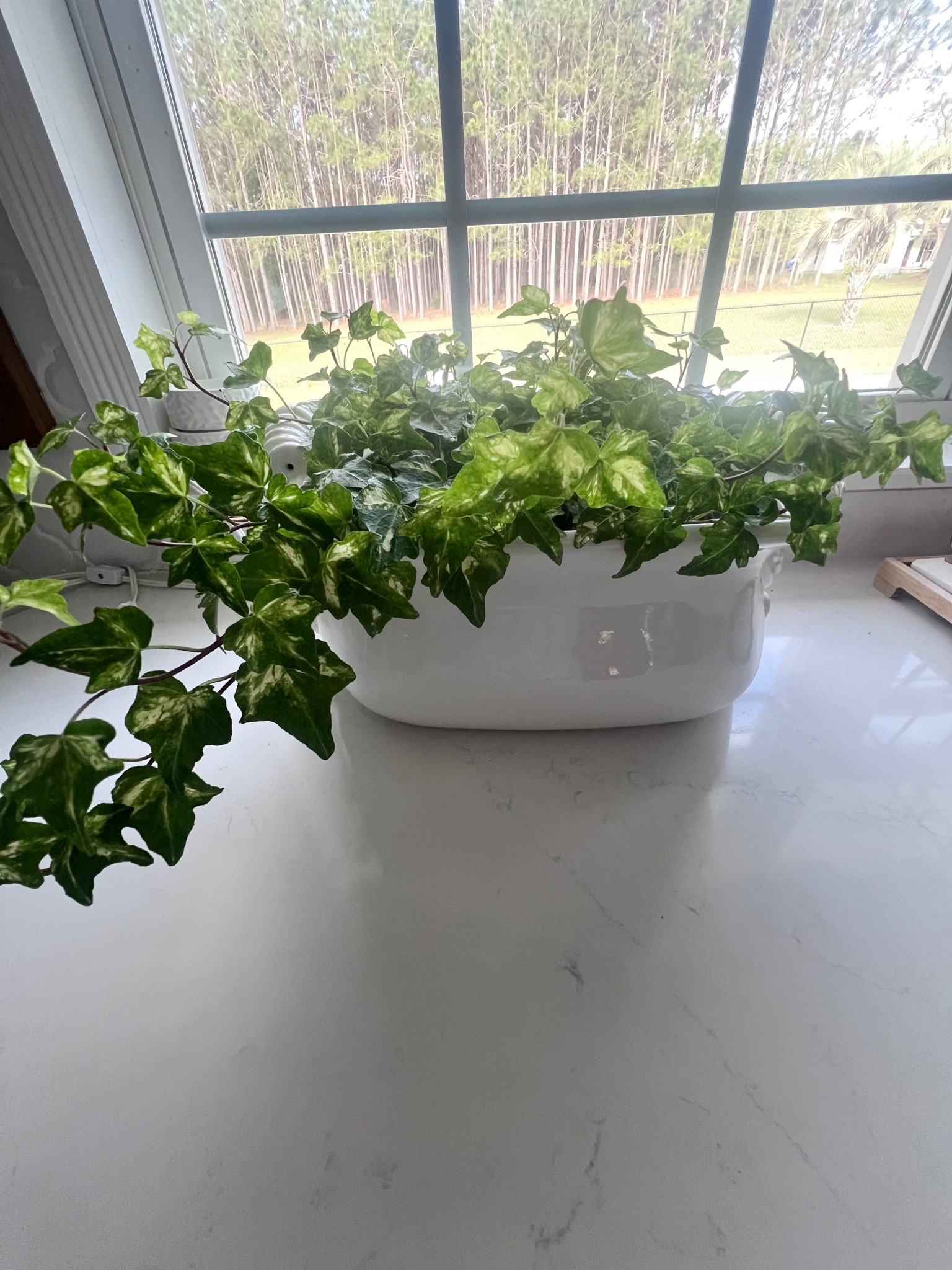 Love this vintage inspired planter.

#LTKHome