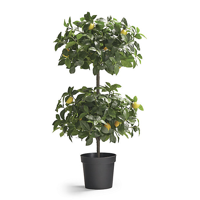 Indoor/Outdoor Double Ball Lemon Topiary | Frontgate