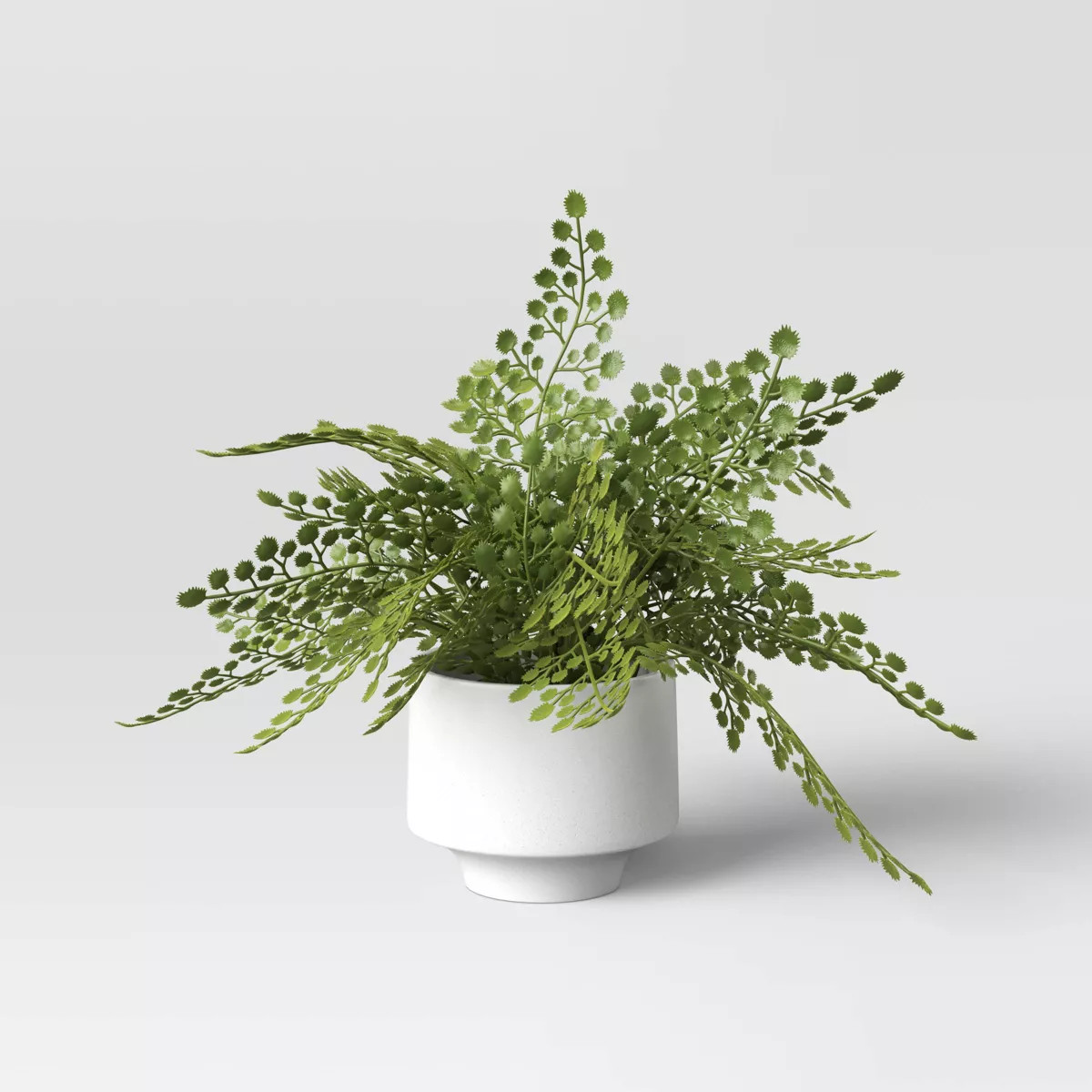 Small Fern in Modern Pot Maiden Hair Arrangement - Threshold™ | Target