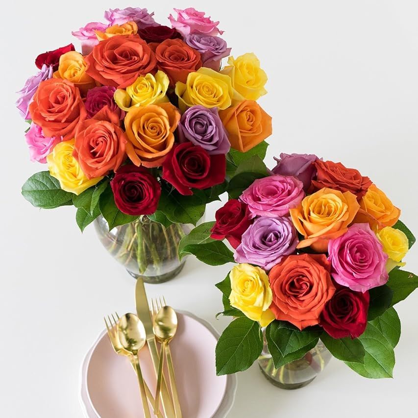 Benchmark Bouquets 2 Dozen Rainbow Roses, With Vase (Fresh Cut Flowers) | Amazon (US)