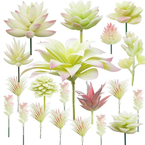 Cayway 20 PCS Artificial Succulents Picks Creamy White Artificial Succulent Plants, Fake Succulent Assortment in Flocked in Different Type for Indoor and Outdoor Home Decor Floral Arrangements | Amazon (US)