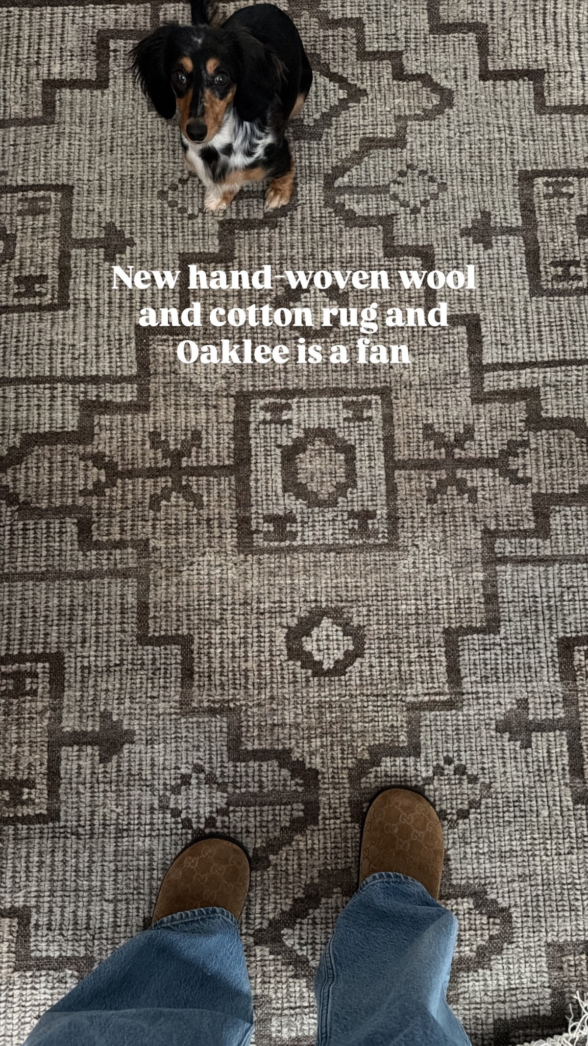 Bought this new rug for our guest bathroom 😍. I did the 5x3 and this is the best price I could find it! 

#LTKHome