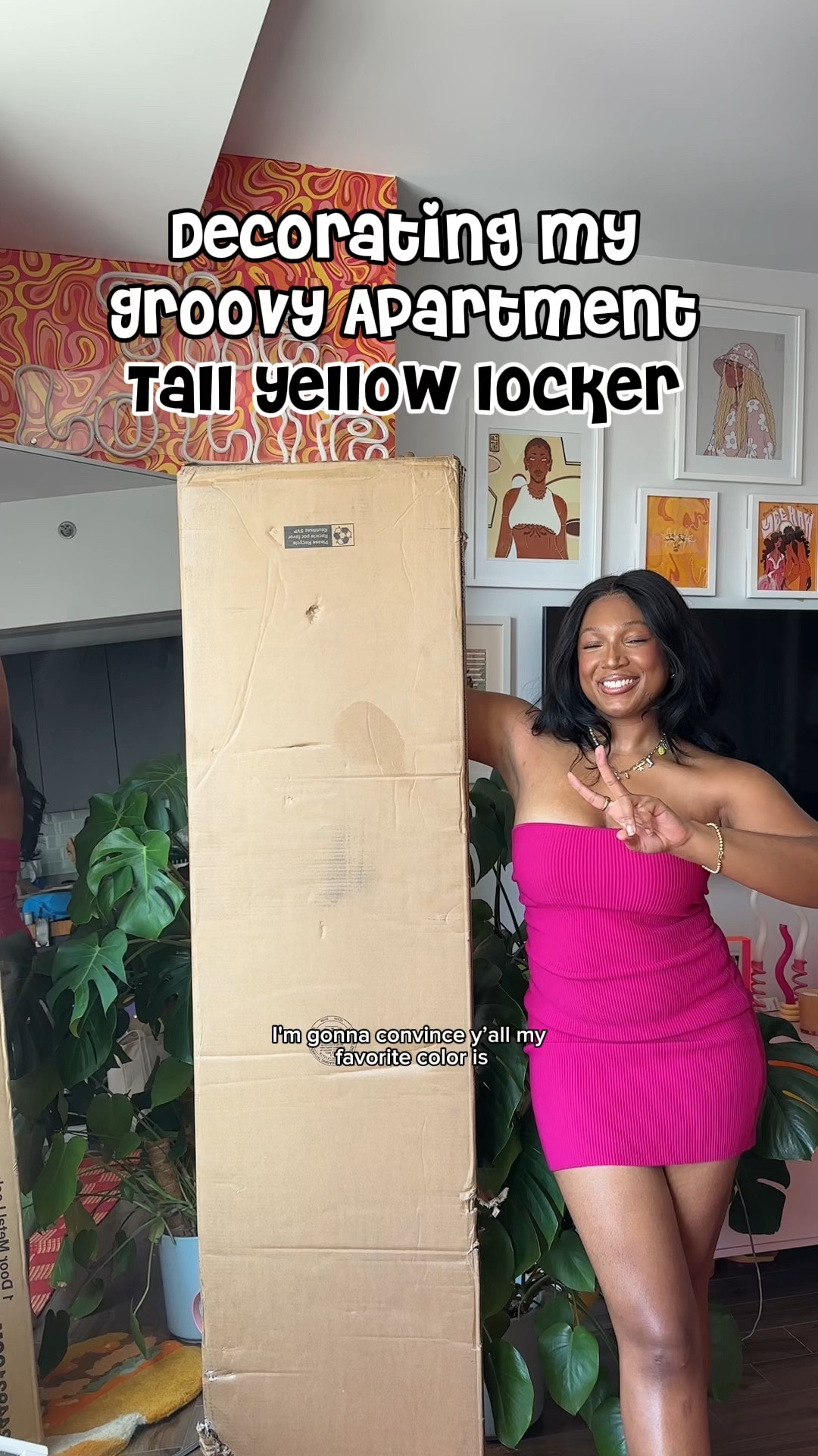 Colorful small apartment storage solution 