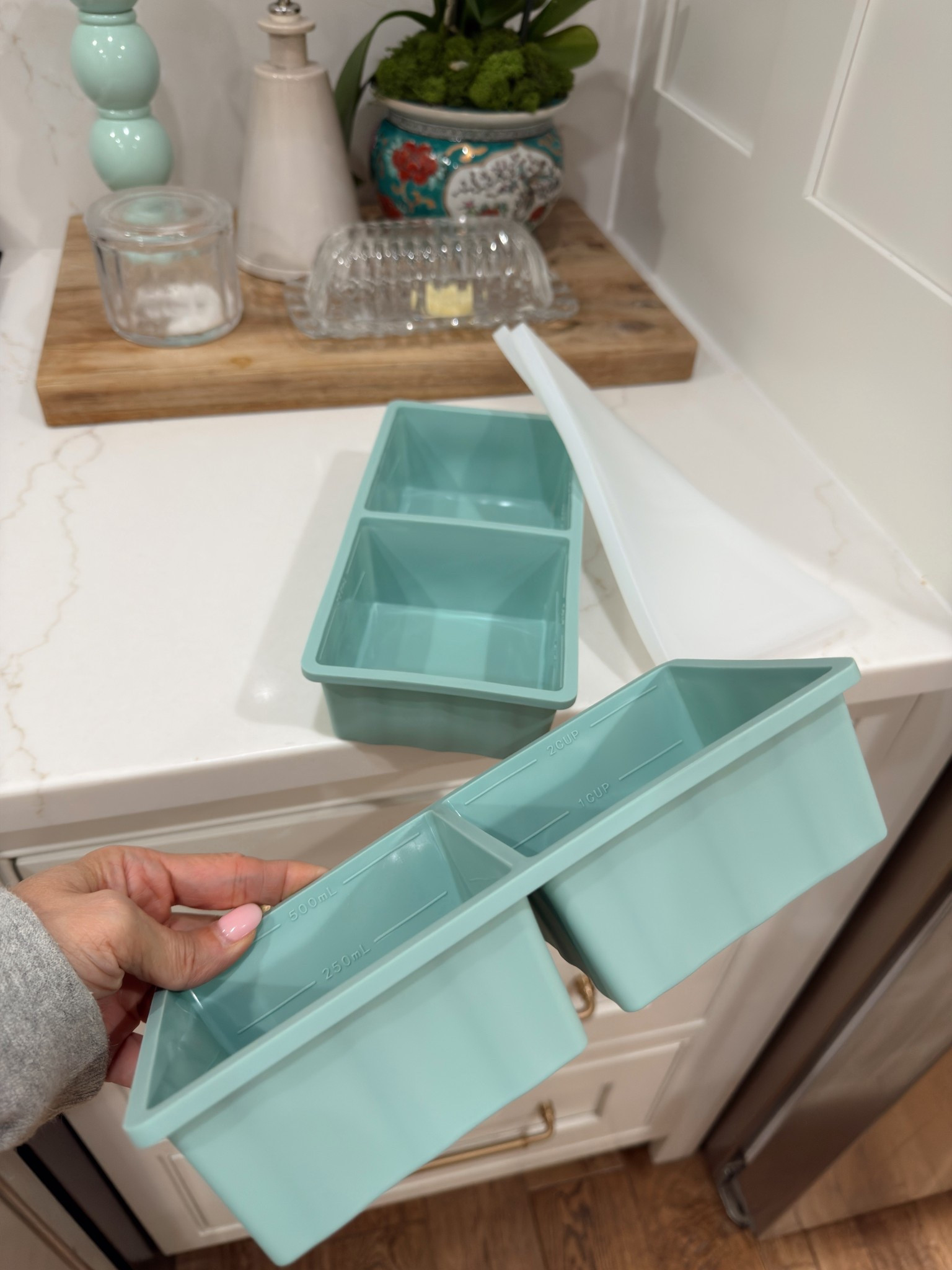 Ordered these soup molds from Amazon 

#LTKmomlife #LTKOver40