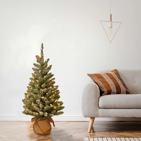 Ardrie Lighted Artificial White Fir Christmas Tree | Wayfair North America