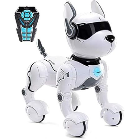 Remote Control Robot Dog Toy, Robots for kids, Rc Dog Robot Toys for Kids 2,3,4,5,6,7,8,9,10 year... | Amazon (US)