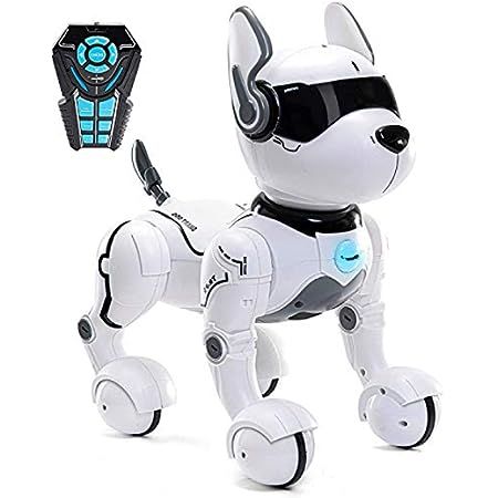 Remote Control Robot Dog Toy, Robots for kids, Rc Dog Robot Toys for Kids 2,3,4,5,6,7,8,9,10 year... | Amazon (US)