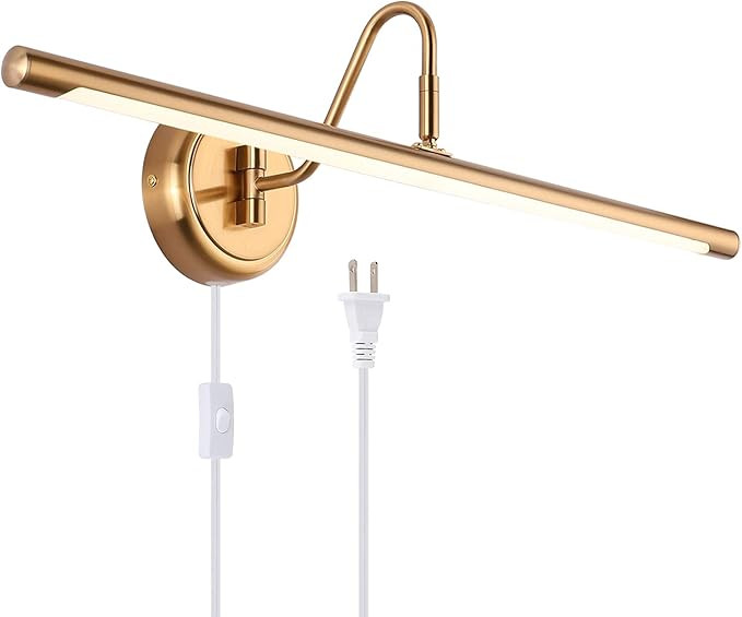 Modern LED Picture Lights Metal Artwork Display Lighting Fixtures 24.4" Inch 14W Plug in Play Lam... | Amazon (US)