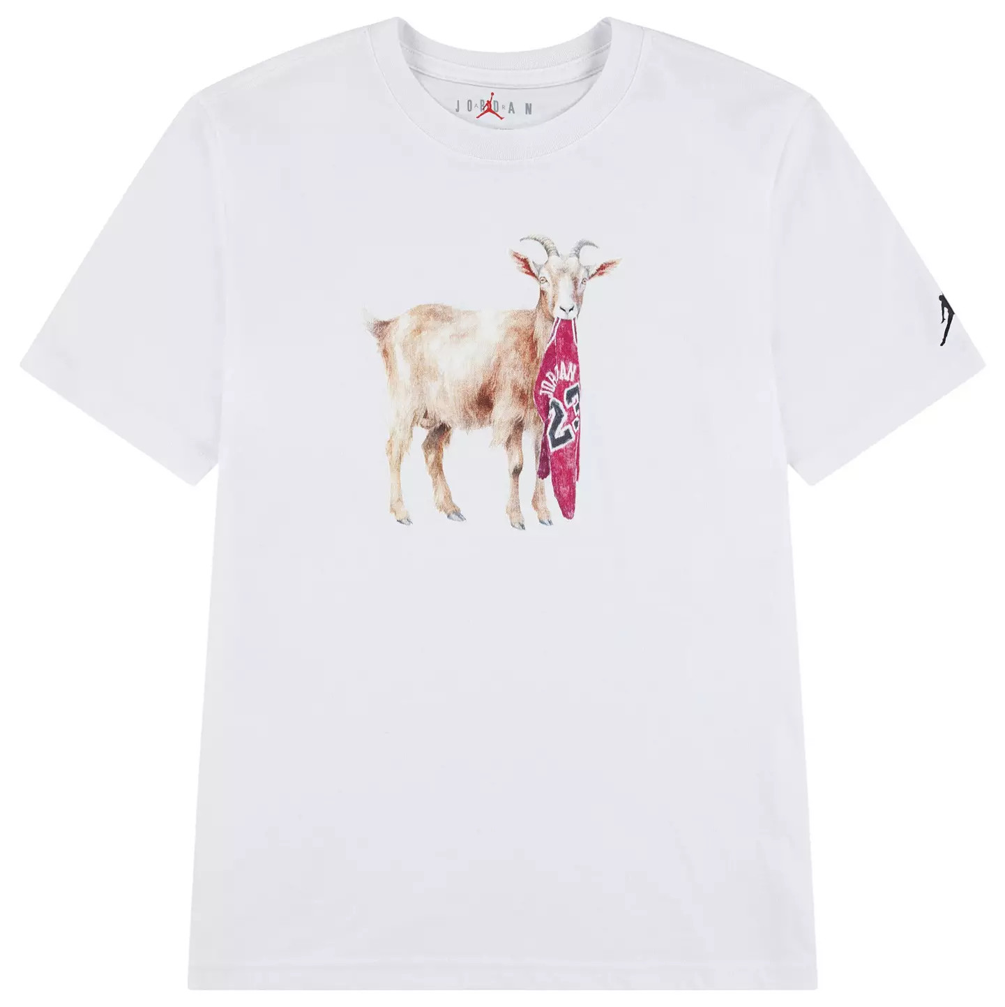 Jordan Kids' Flight Goat Graphic Tee | DICK'S Sporting Goods