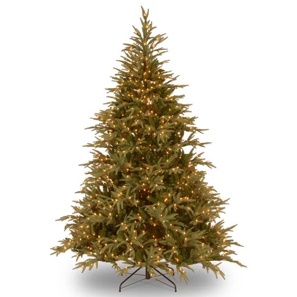 Frasier Grande 90'' Lighted Artificial Fir Christmas Tree | Wayfair North America