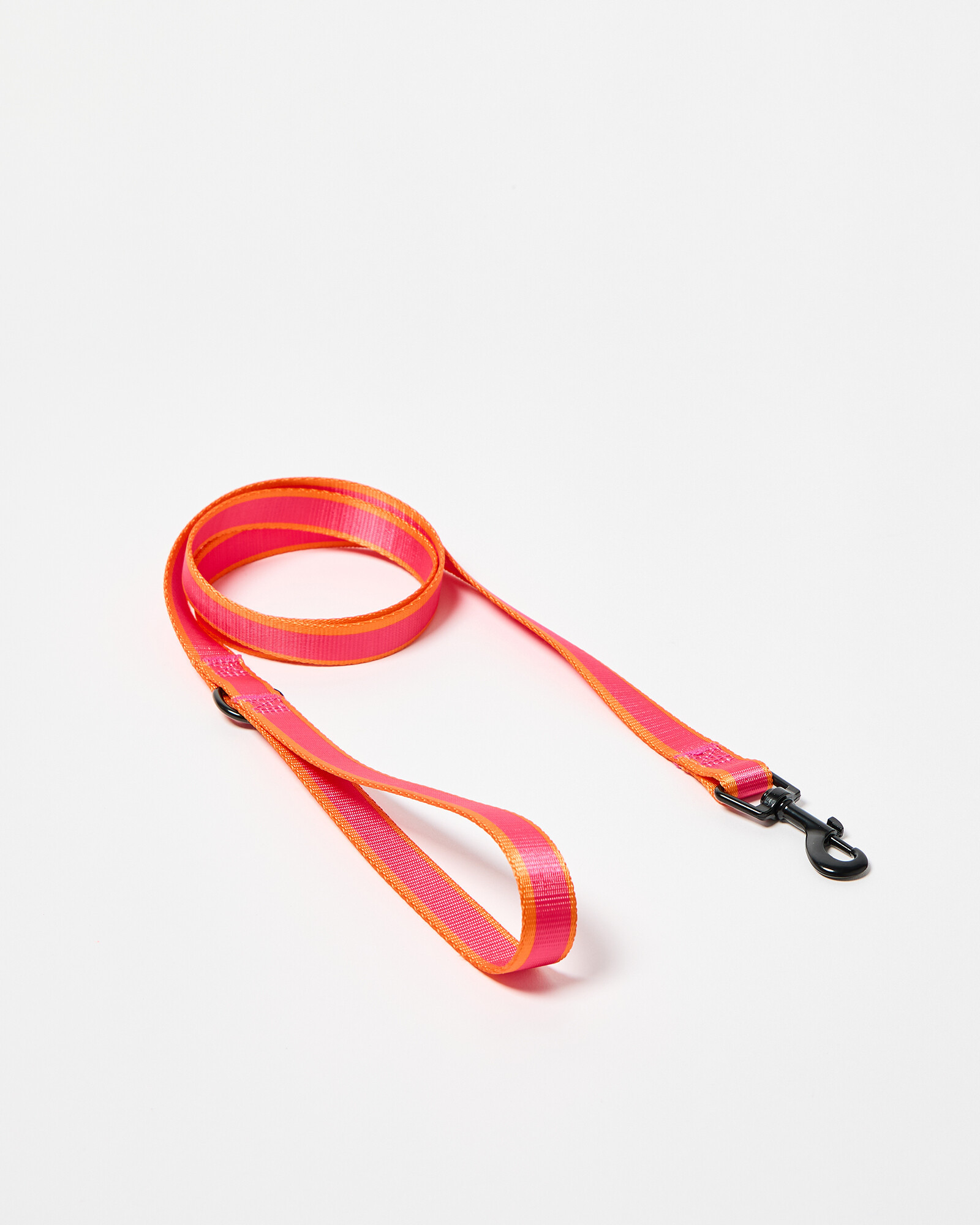 Colour Block Fabric Dog Leads | Oliver Bonas | Oliver Bonas (Global)