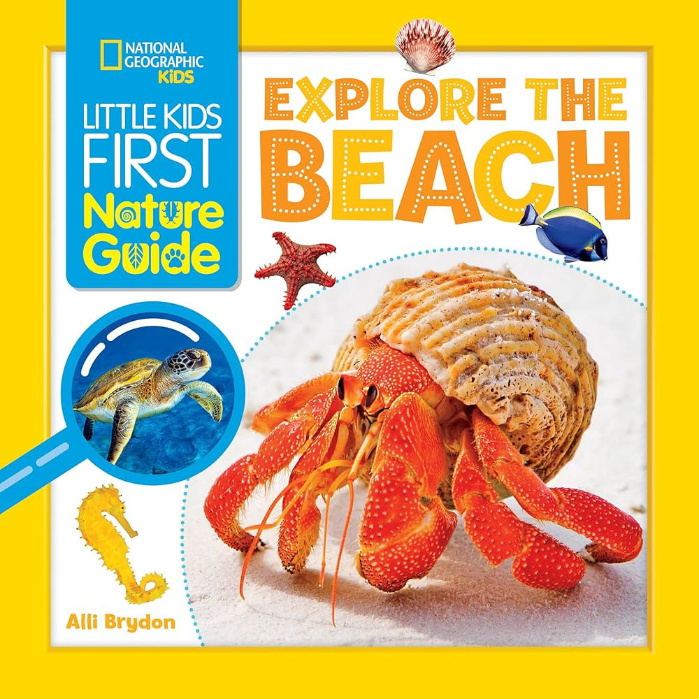 Little Kids First Nature Guide: Explore the Beach | Amazon (US)