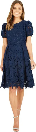 Lace Puff Sleeve Skater Dress | Nordstrom