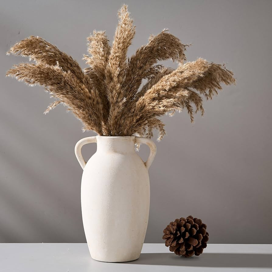 Ceramic Vase, 9.84 Inch Terracotta Vase with Handles, Boho Decor Decorative Vase, Rustic Vase for... | Amazon (US)