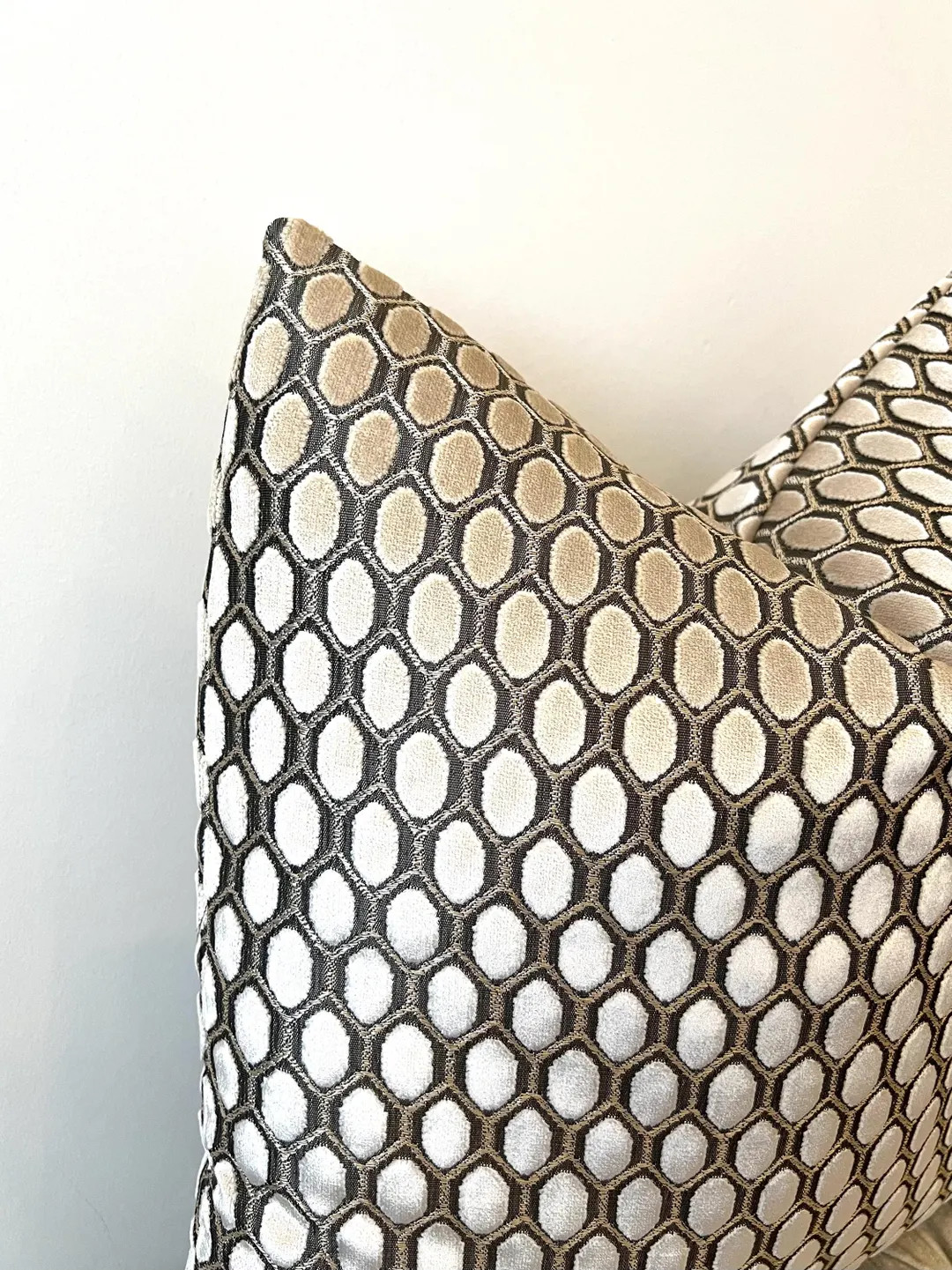 Beige Velvet Pillow Cover: Luxury Throw Cushion, Euro Sham | Etsy (US)