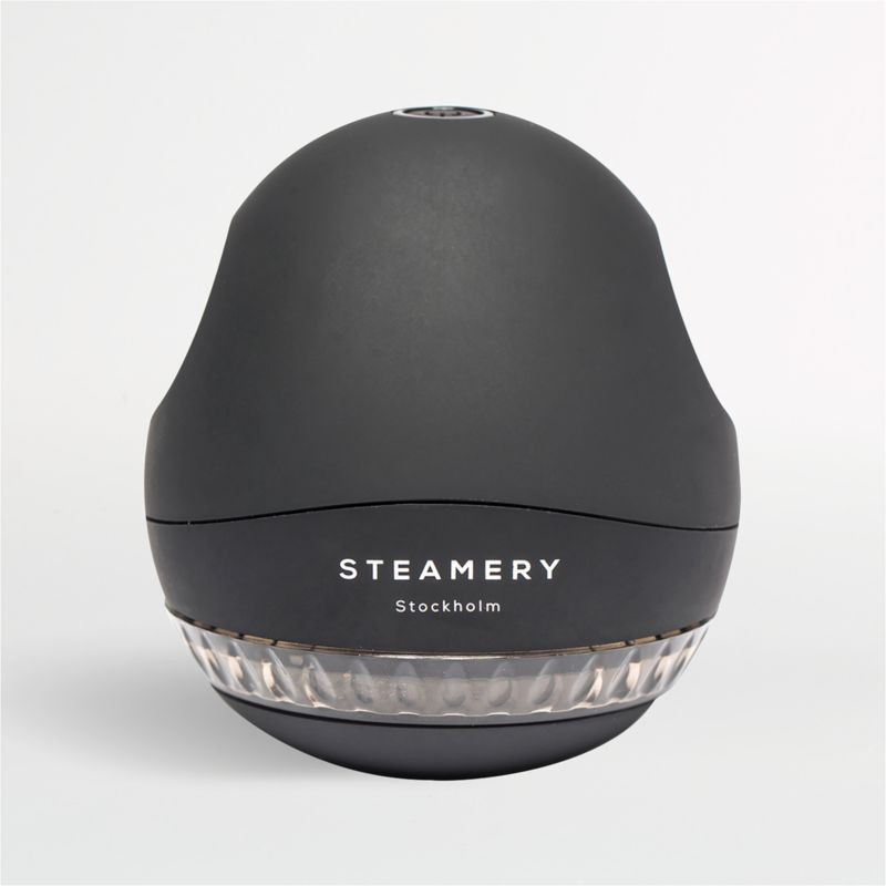 Steamery Black Pilo Fabric Shaver | Crate and Barrel | Crate & Barrel