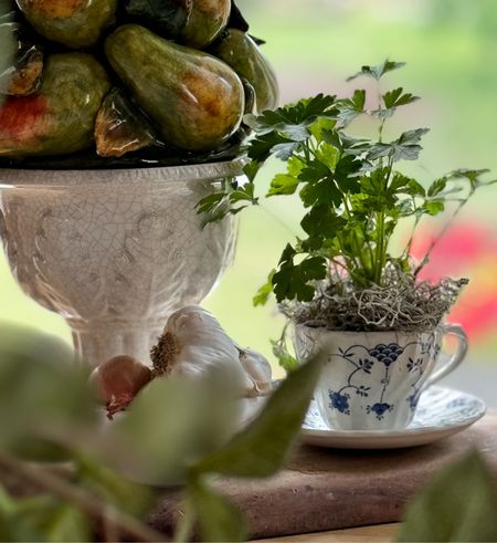 I’ve rounded up my favorite brand new & vintage teacup + saucer plate sets for you to plant your own herb garden. 🪴

#LTKfindsunder50 #LTKSeasonal #LTKhome