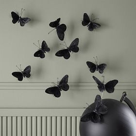 Feather Butterflies | Pottery Barn Teen