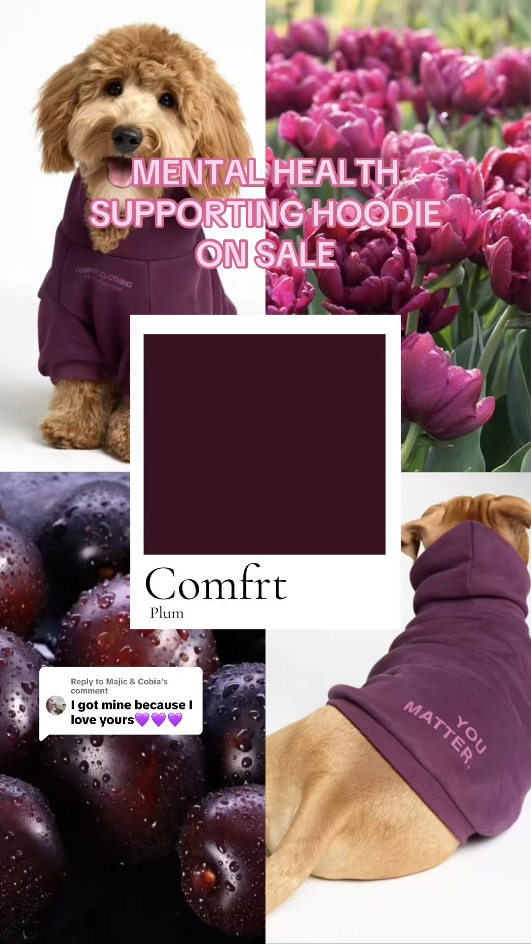 🫶🏼 #comfrt

#LTKSaleAlert #LTKSummerEdit #LTKPets