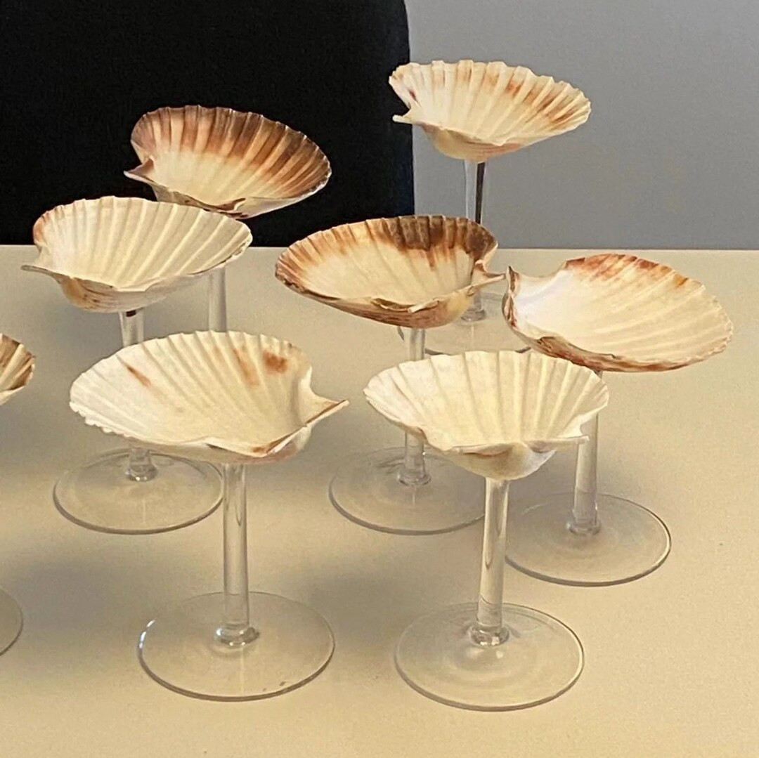 Shell Conch Cup Handmade Cuisine Dessert Seashell Goblet - Etsy | Etsy (US)