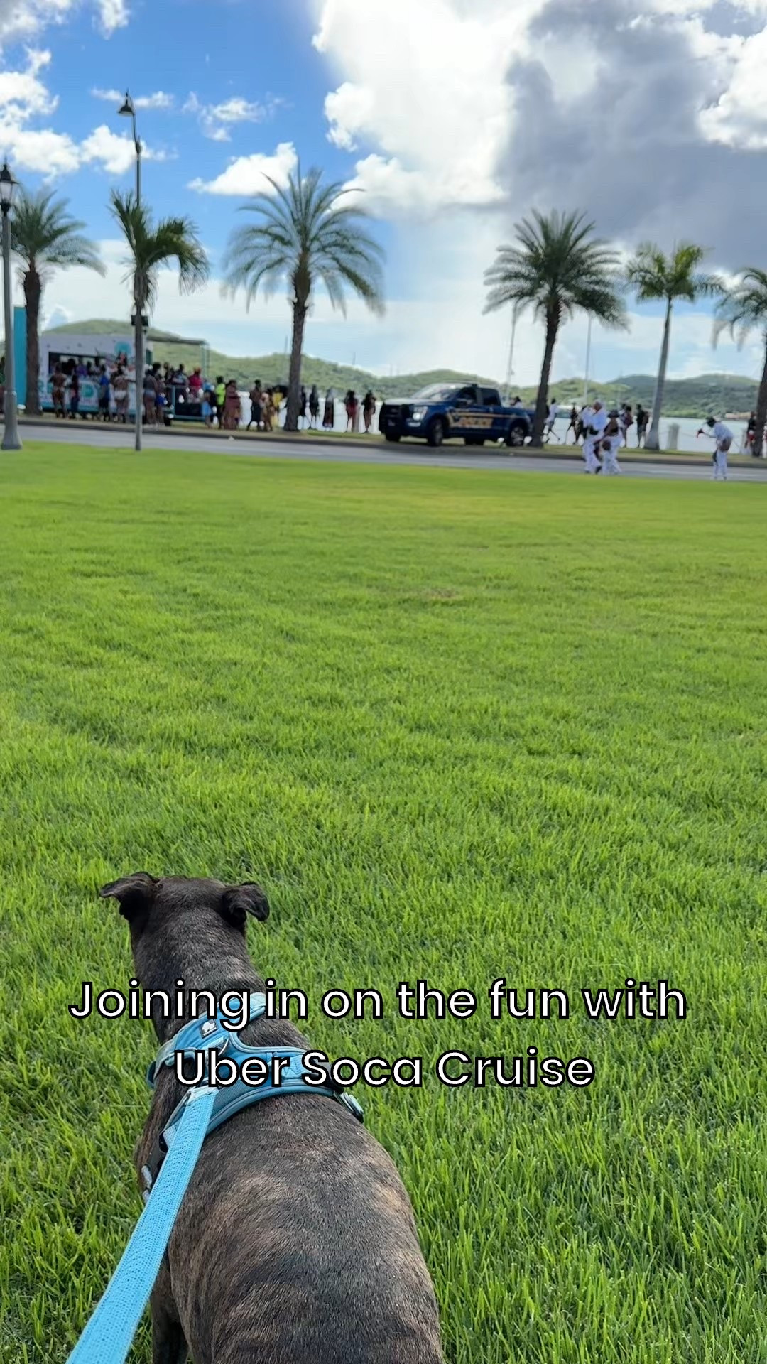 Carnival time with Uber Soca Cruise. HD to take my sweet dog down in his trusted harness. Good vibes! 

#LTKvlog #LTKdayinmylife #LTKTravel