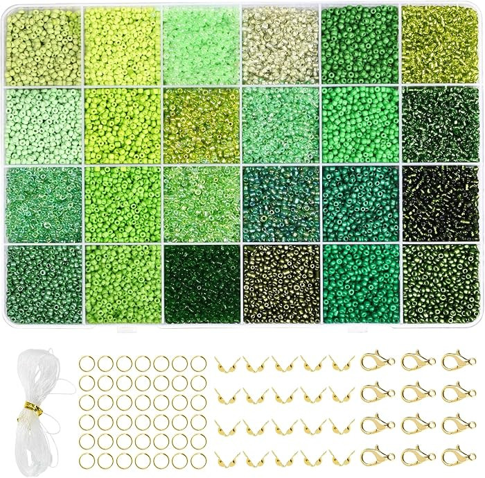 Vtssvow 2mm Glass Seed Beads for Bracelets Making, 24 Colors 22000pcs Friendship Bracelet Making ... | Amazon (US)
