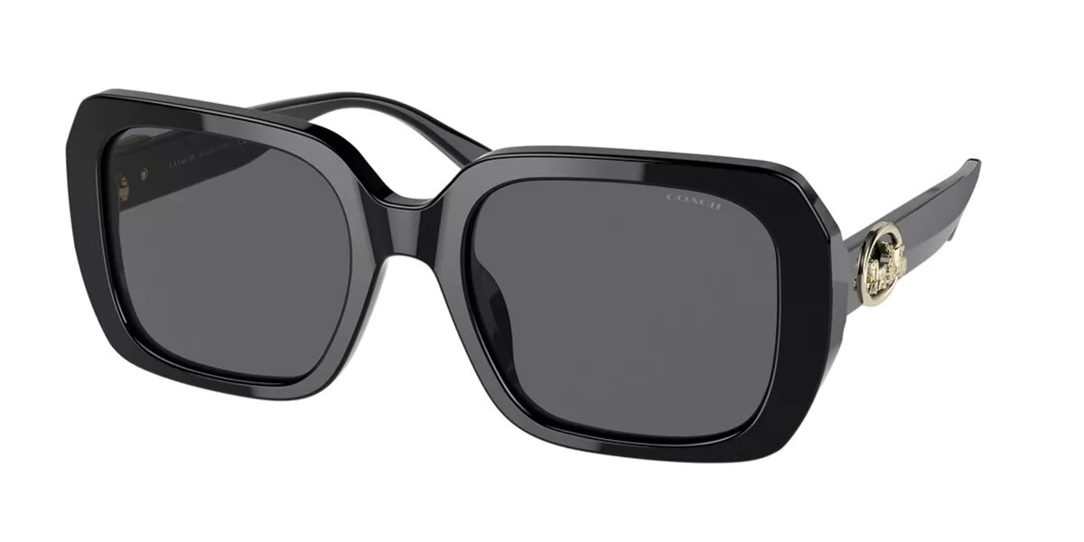 Coach HC8329U C6188 500287 Women’s Sunglasses Black Size 53 | SmartBuyGlasses Global