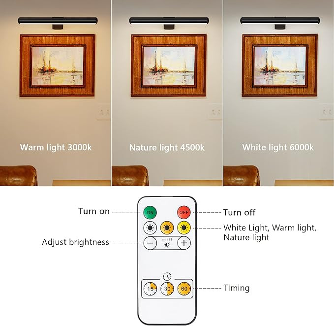 Led Picture Light Gold Wireless with Remote Control,Painting Light Rechargeable Battery Full meta... | Amazon (US)