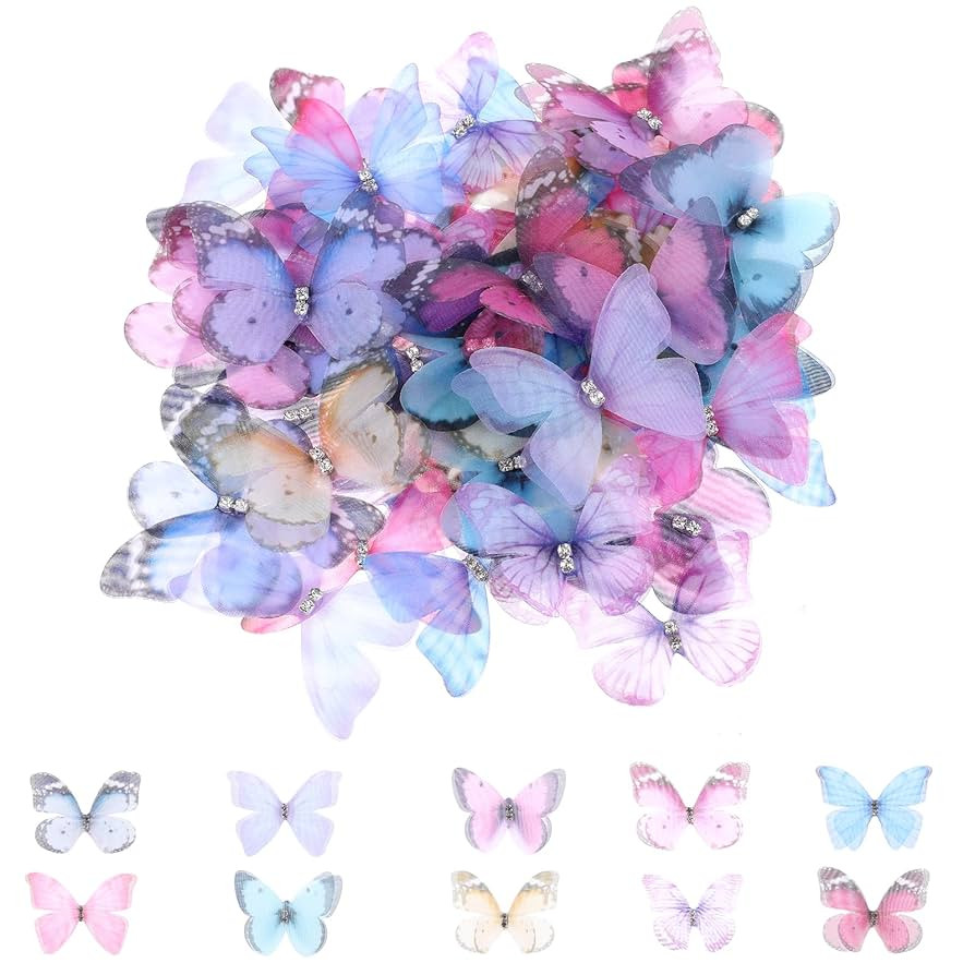 60PCS Organza Fabric Butterfly Appliques Butterflies for Crafts Colorful 3D Lace Butterfly 2 Laye... | Amazon (US)