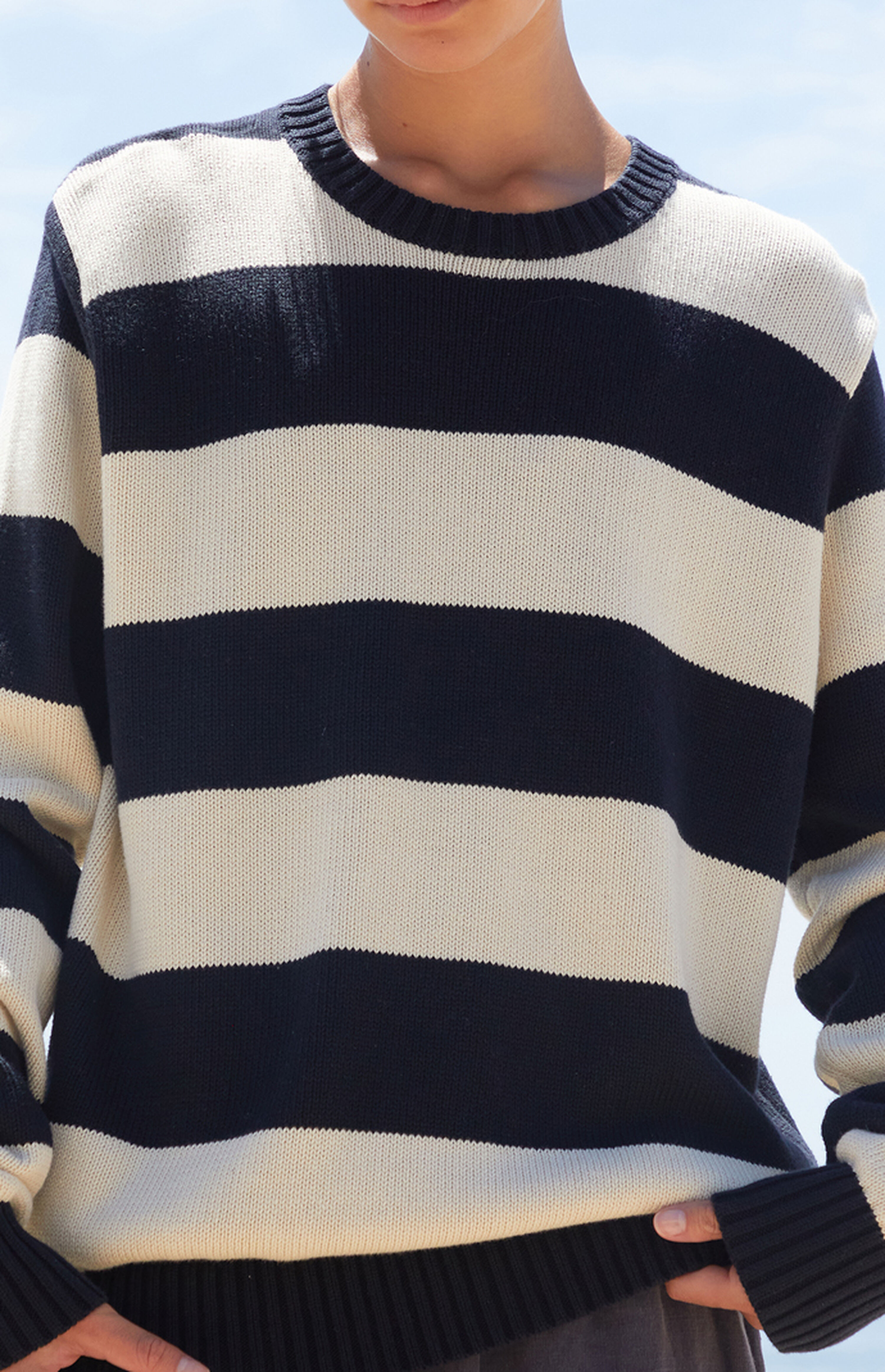 John Galt Navy & White Striped Thick Knit Sweater | PacSun