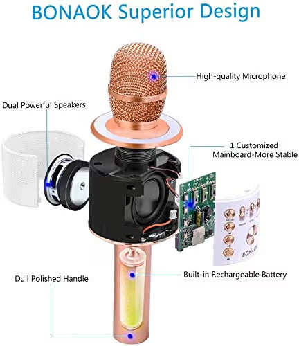 BONAOK Wireless Bluetooth Karaoke Microphone,3-in-1 Portable Handheld Karaoke Mic Speaker Machine... | Amazon (US)