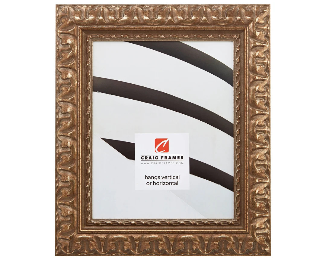 Bravada Ornate, Antique Bronze Picture Frame, 2" Wide, 36 Common Sizes (21247906) Craig Frames Br... | Etsy (US)