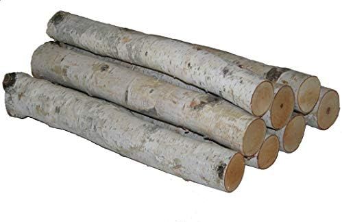 Bundle of White Birch Logs | Amazon (US)