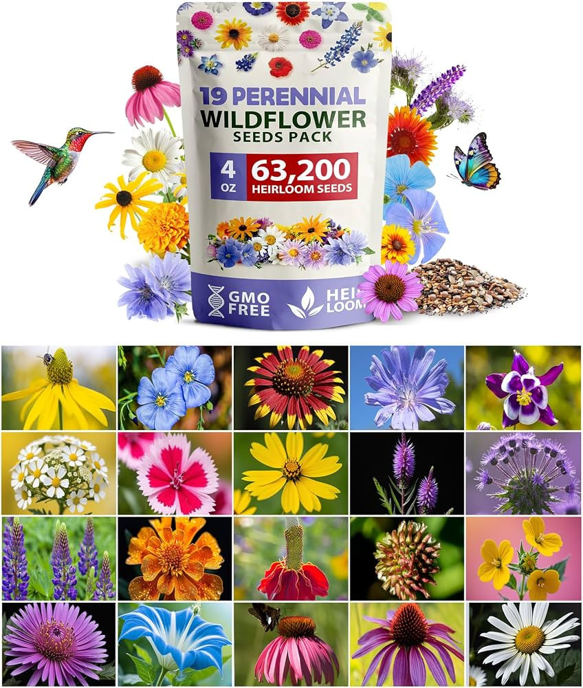HOME GROWN Wildflower Seeds Bulk Mix | 63,200+ Non-GMO Perennial Flower Seed for Outdoor Planting... | Amazon (US)