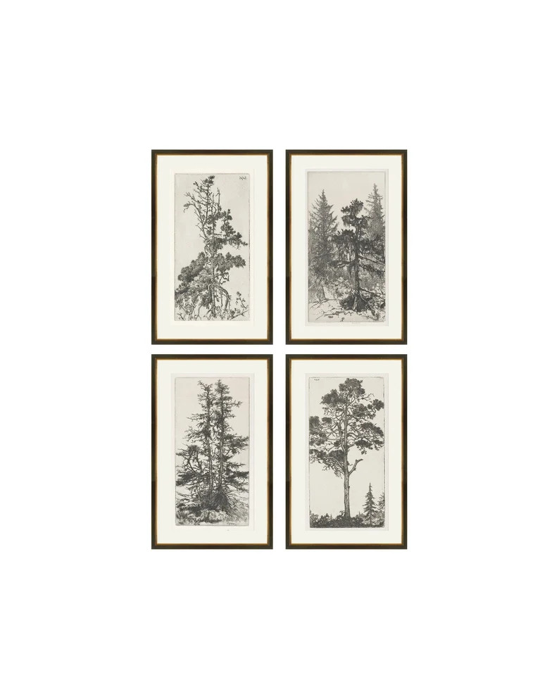 Set of 4 Trees Etchings, Vintage Trees Prints, Gallery Wall Vintage Art, Set of 4 wall art, Set o... | Etsy (Global)
