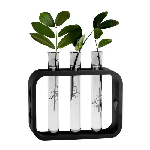Modernized Pottery Dynamic Propagation Station in Black at Nordstrom | Nordstrom