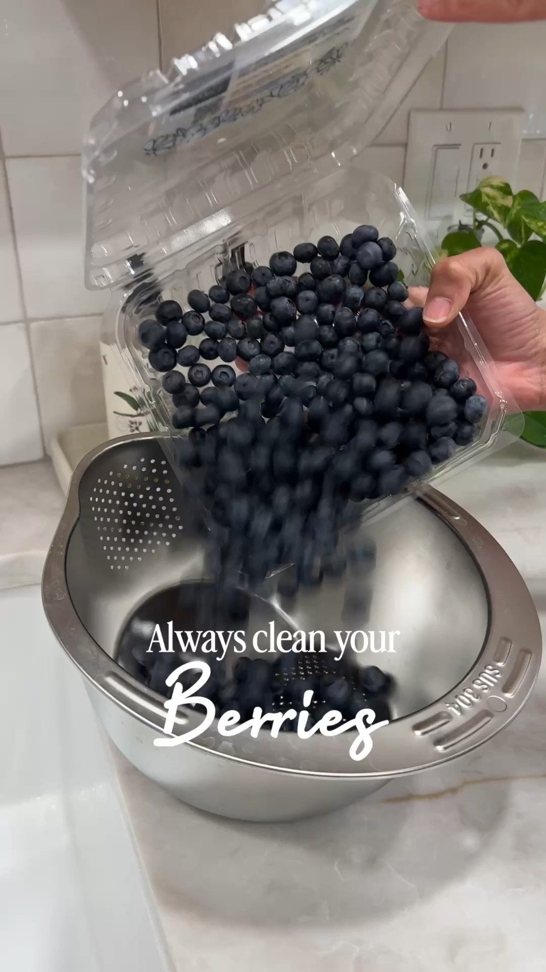 Produce and Rice rinsing colander 