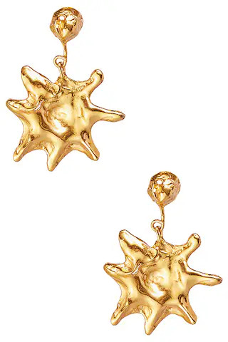 Astro Earrings | FWRD 