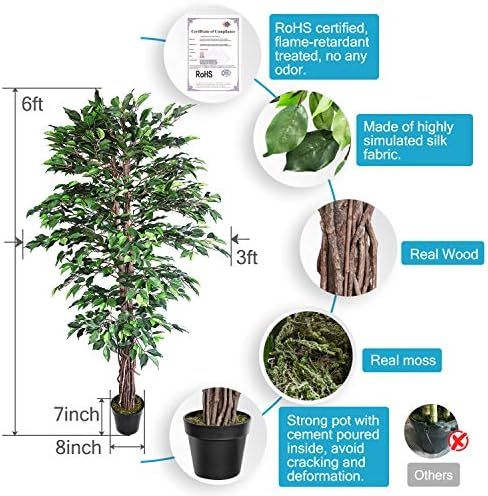 Aveyas 6ft Artificial Ficus Silk Tree (72in) with Plastic Nursery Pot, Fake Plant for Office House F | Amazon (US)