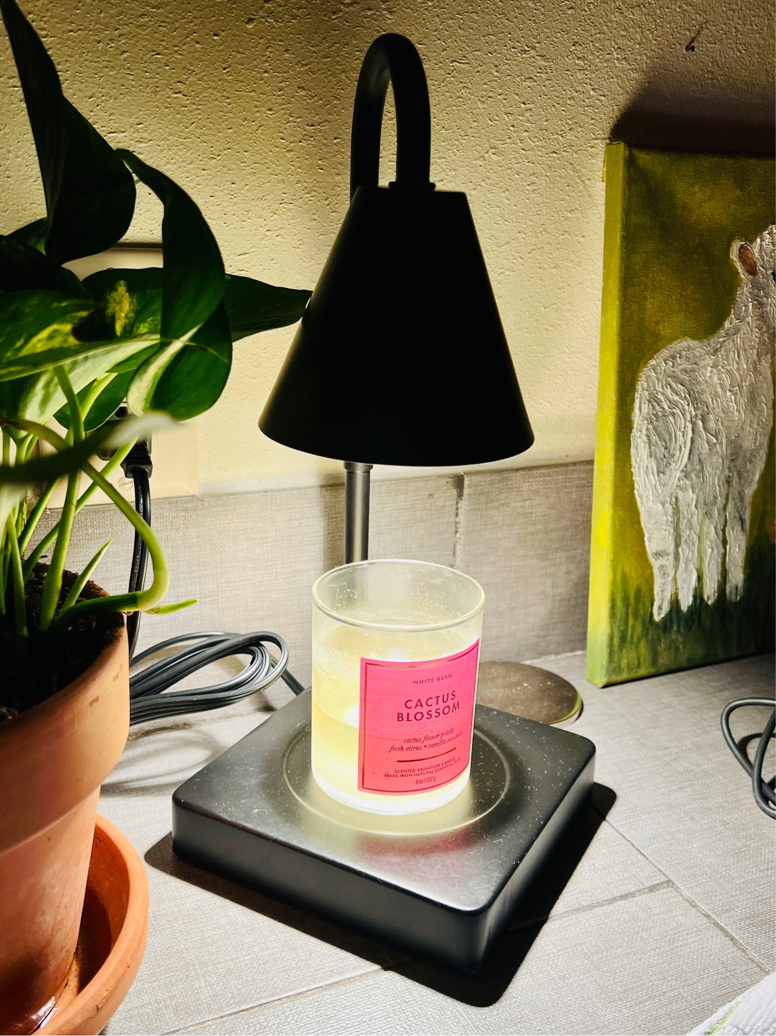 My favorite Walmart find to date! Smells up the whole house and I swear this wax is not going anywhere 

#LTKhome #LTKfindsunder50 #LTKGiftGuide