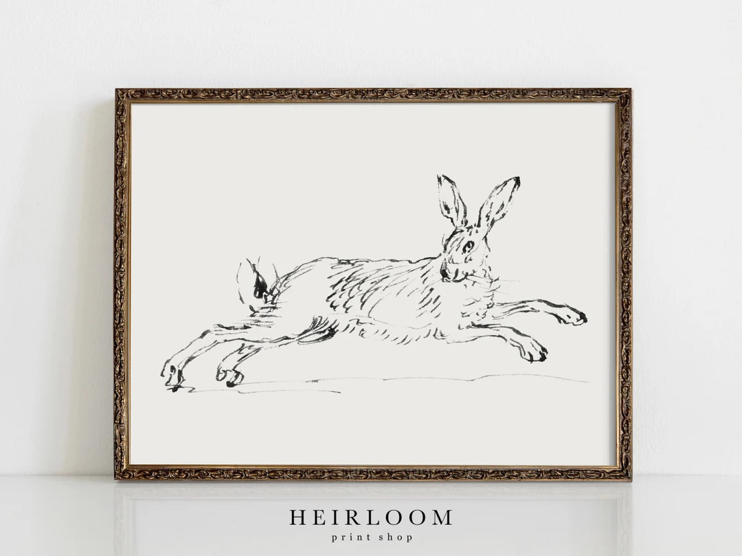 Rabbit Drawing  Bunny Artwork  Vintage Drawing  Spring ART - Etsy | Etsy (US)